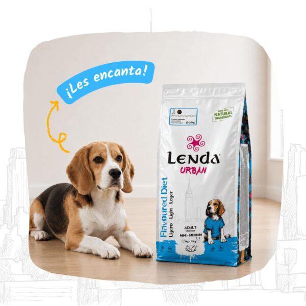 Perro junto al saco de Lenda Urban Flavoured Diet Light, pienso natural sin trigo