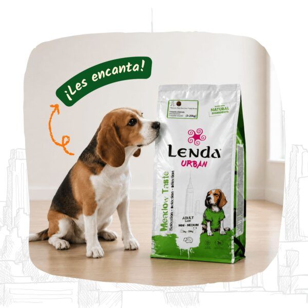 Perro junto al saco de Lenda Urban Meadow Taste Cordero, pienso natural sin trigo