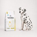 Dálmata junto al saco de Lenda Vet Nature Allergenic Solution, dieta de proteína hidrolizada