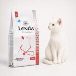 Gato blanco junto al saco de Lenda Vet Nature Cardiac, dieta para gatos con cardiopatías