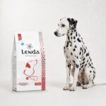 Dálmata junto al saco de Lenda Vet Nature Cardiac, dieta veterinaria cardíaca para perros