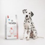 Dálmata junto al saco de Lenda Vet Nature Diabetic, dieta para perros diabéticos