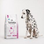 Dálmata junto al saco de Lenda Vet Nature Gastro & Atopic, dieta para digestión y piel sensibles