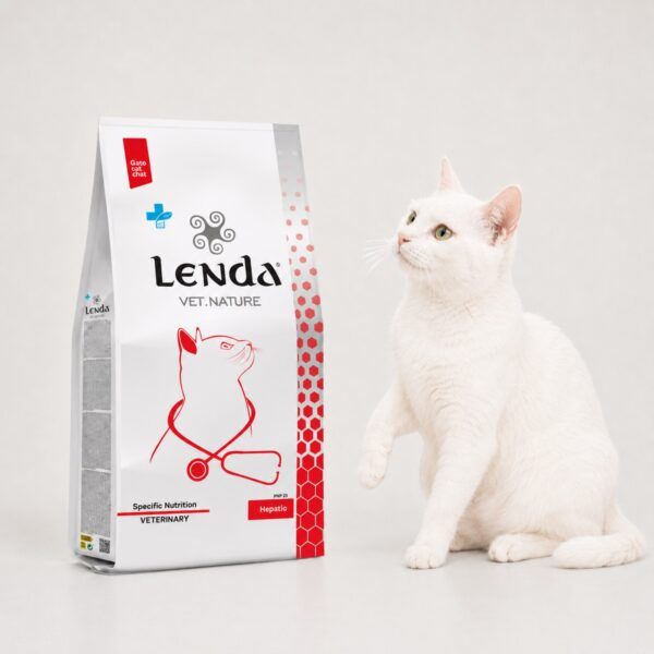 Gato blanco junto al saco de Lenda Vet Nature Hepatic, dieta veterinaria para el hígado felino
