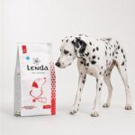 Dálmata junto al saco de Lenda Vet Nature Hepatic, dieta veterinaria para el hígado