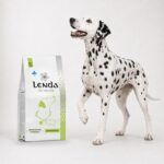 Dálmata junto al saco de Lenda Vet Nature Leishmaniasis, dieta de apoyo en leishmaniosis