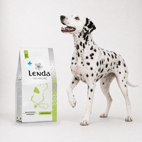 Dálmata junto al saco de Lenda Vet Nature Leishmaniasis, dieta de apoyo en leishmaniosis