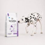 Dálmata junto al saco de Lenda Vet Nature Pancreatic, dieta veterinaria digestiva para perros
