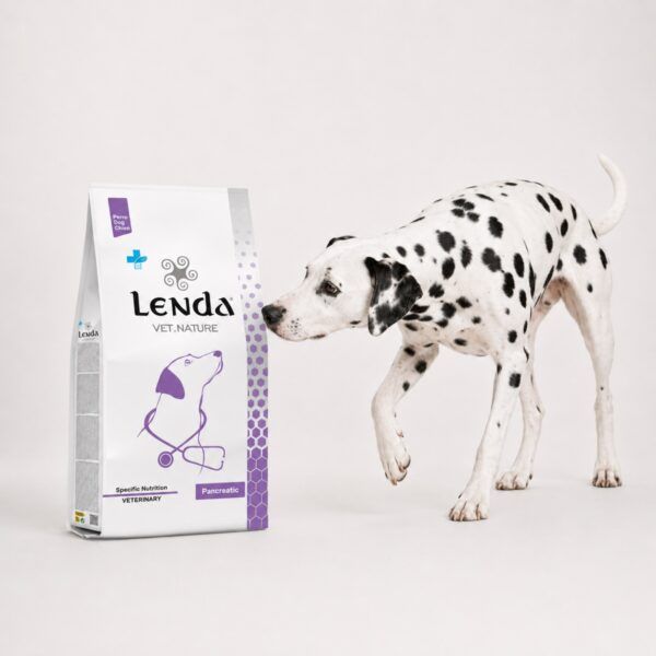 Dálmata junto al saco de Lenda Vet Nature Pancreatic, dieta veterinaria digestiva para perros