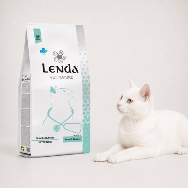 Gato blanco junto al saco de Lenda Vet Nature Renal & Oxalate, dieta para enfermedad renal felina