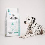 Dálmata junto al saco de Lenda Vet Nature Renal & Oxalate, dieta para insuficiencia renal