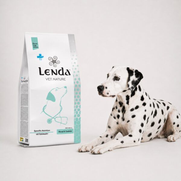 Dálmata junto al saco de Lenda Vet Nature Renal & Oxalate, dieta para insuficiencia renal
