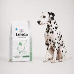 Dálmata junto al saco de Lenda Vet Nature Urinary & Struvite, dieta para cálculos de estruvita
