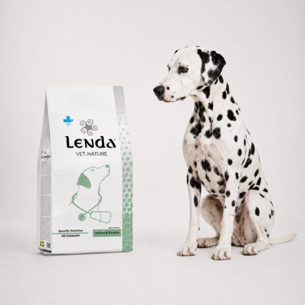 Dálmata junto al saco de Lenda Vet Nature Urinary & Struvite, dieta para cálculos de estruvita