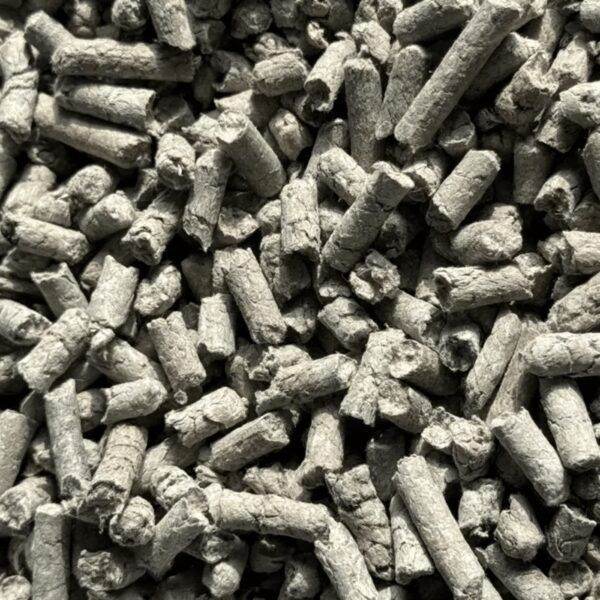 Pellets de papel reciclado de la arena para gatos Covetrus
