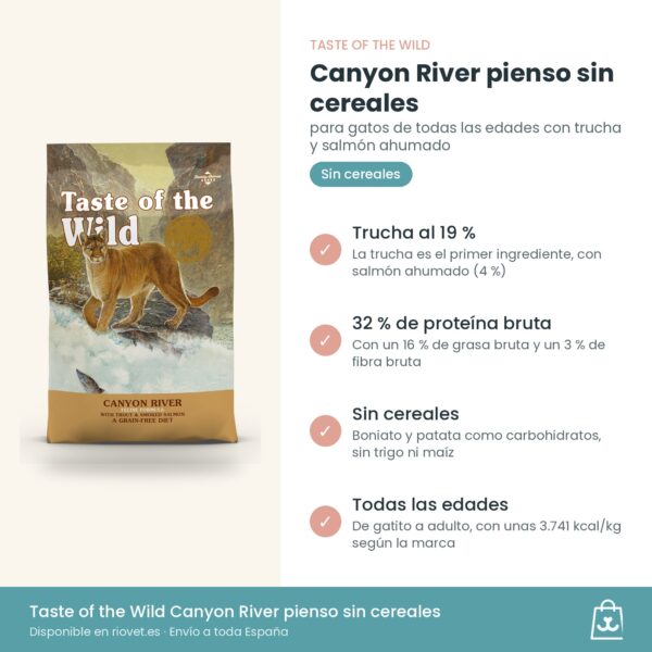 Infografía de beneficios de Taste of the Wild Canyon River para gatos: trucha al 19 % y sin cereales