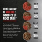 Croquetas de Orijen Small Breed Marine Fish Pienso Sin Cereales con Pescado para Perros de Razas Pequeñas 4,5 kg