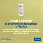 Pyoderm Champú Dermatológico Antiséptico Clorhexidina 250 Ml - Imagen 3