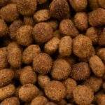 Beneficios de Virbac HPM para perros pequeños y toy adultos