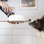 Detalle del producto Pienso Virbac HPM Para Cachorros Medianos Y Grandes