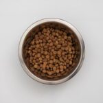 Tabla de ración diaria del pienso Virbac HPM para perros senior medianos y grandes