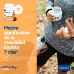 Formato y contenido
