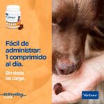 Imagen adicional del producto