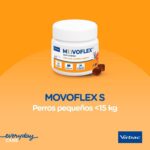 Formato y contenido