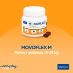 Imagen adicional del producto