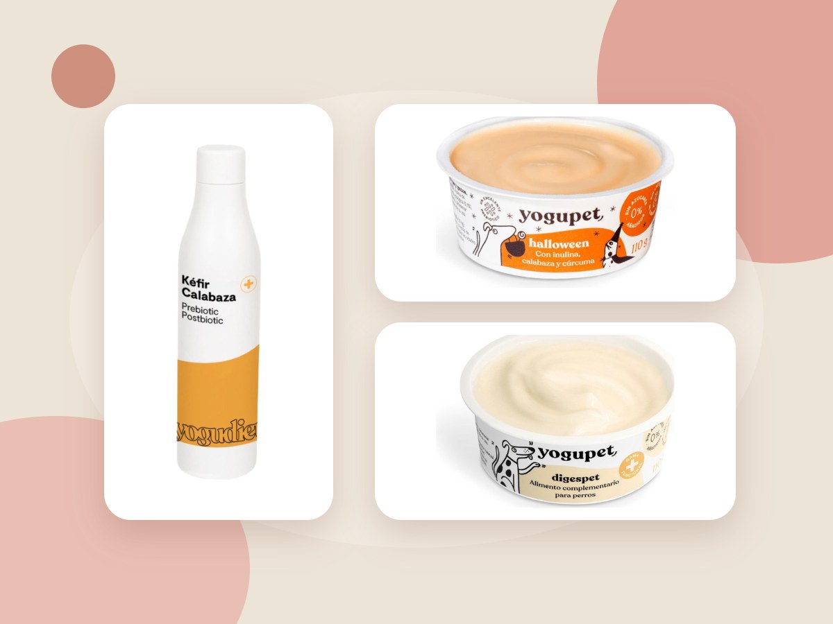 Kéfir de calabaza Yogudiet y yogures Yogupet Halloween y Digespet abiertos para perros